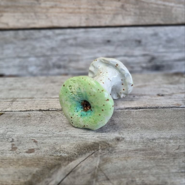 Æbleskrog grønt billede 2