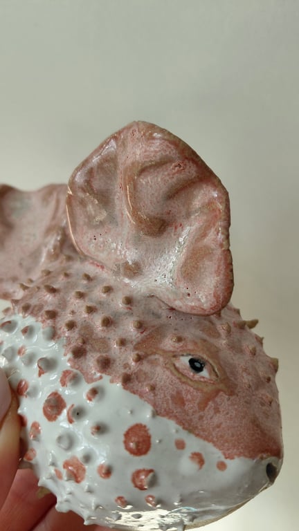 kuglefisk/Pufferfish stor billede 4