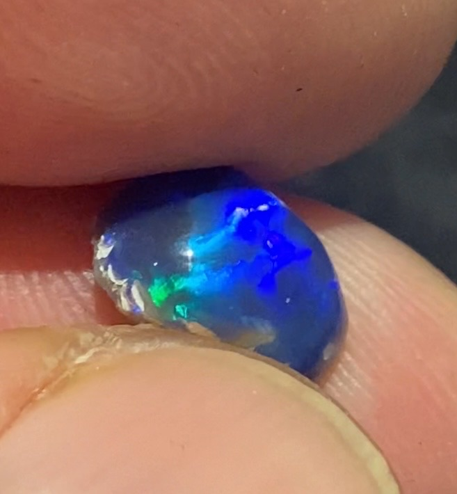 Blue wave billede 7