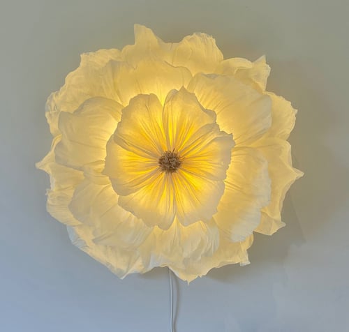 Væglampe designet som en stor hvid blomst med blødt, varmt lys. (1)