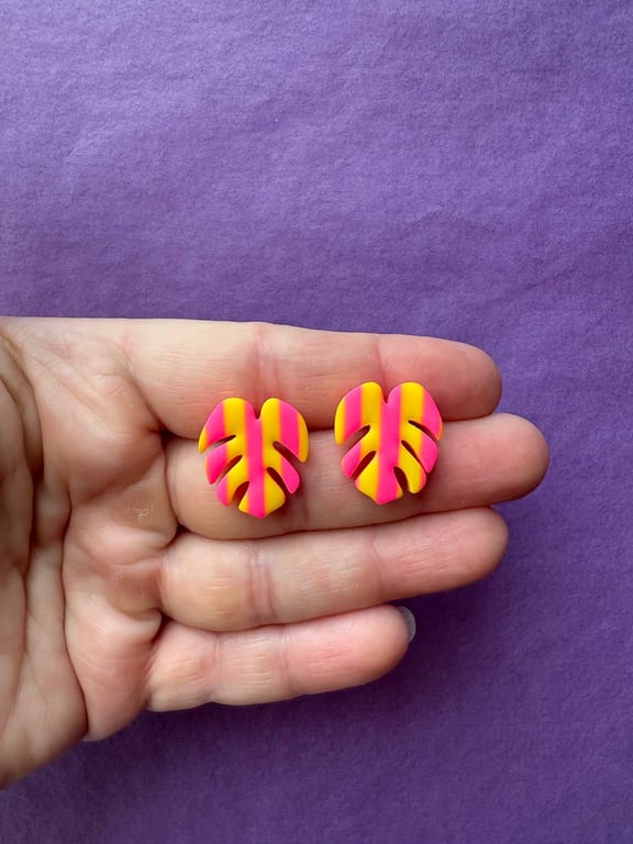 Gule/pink stribede monstera