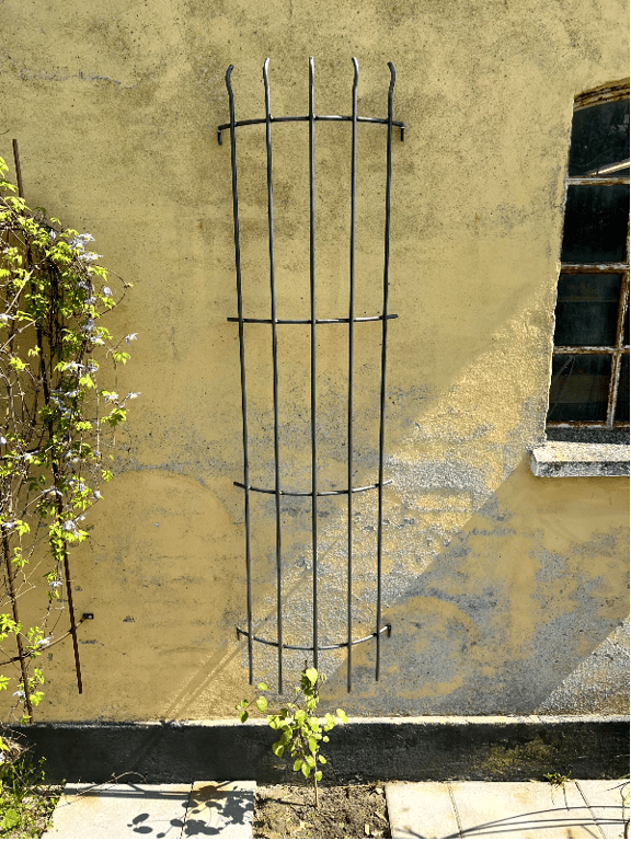 Espalier til væg med buetop