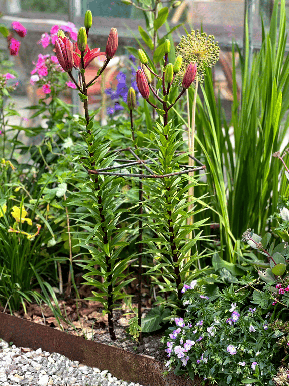 Blomsterstøtte i jern billede 2