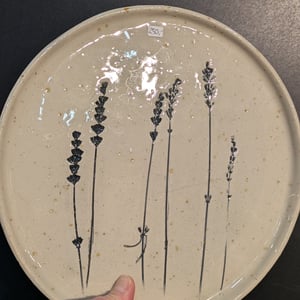 middagstallerkener Ø25  – produktbillede