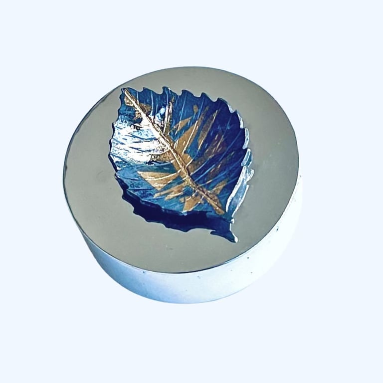 Winter Box
