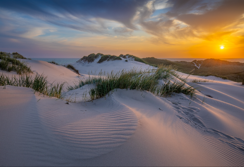 Klitterne i Gammel Skagen lige før solnedgang en smuk sommeraften