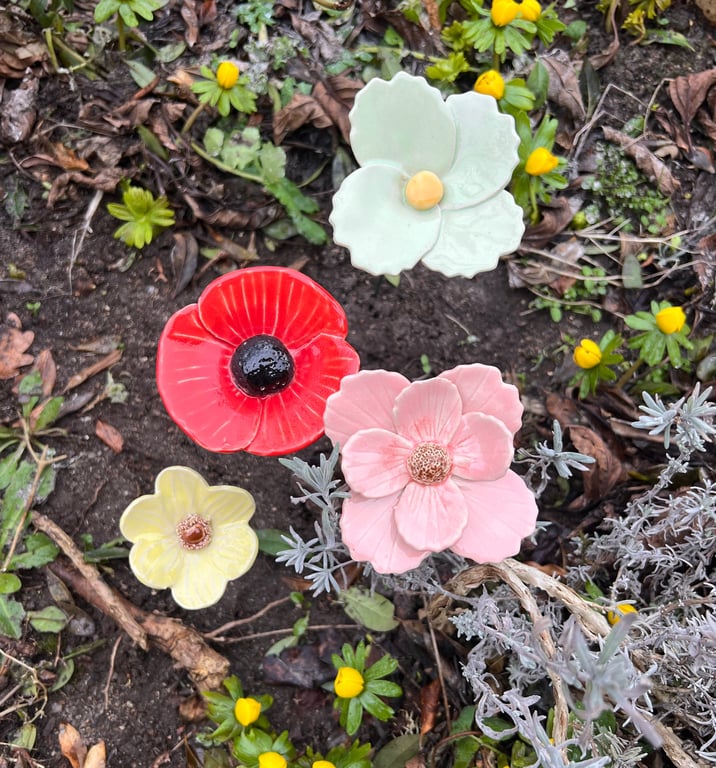 Lyserød blomst på stilk  billede 4
