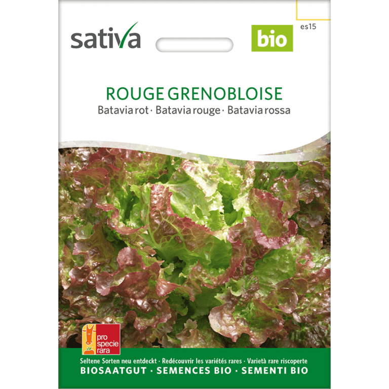 Frøpakke til økologisk salatsorten Rouge Grenobloise med rødgrønne Batavia salatblade.