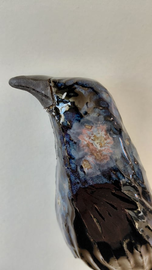 Hugin og Munin  (5)
