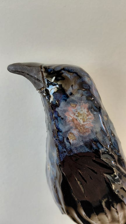 Hugin og Munin  billede 5