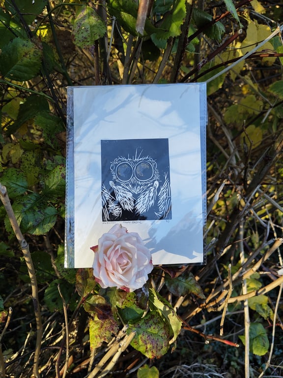 Magical Mabon: Moon Gazer