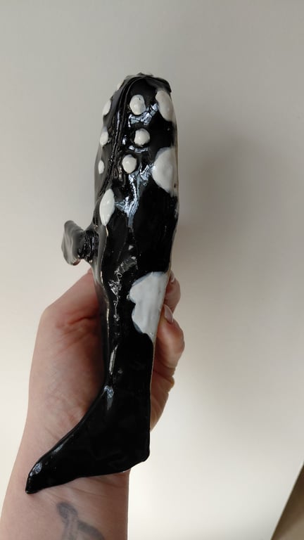 rethval, southern right whale billede 5