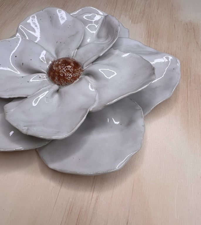 Vægblomst i hvid billede 2