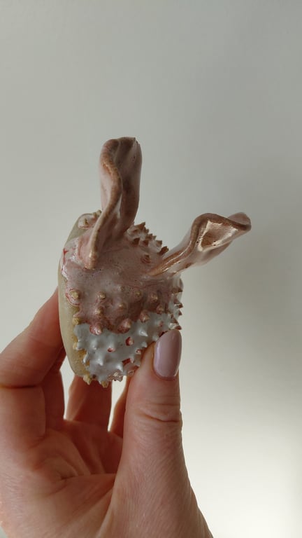 kuglefisk/Pufferfish stor billede 5