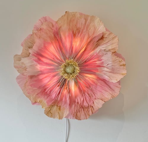 Stor, rosa og beige blomst formet lampe tændt og hængende på en hvid væg. (1)