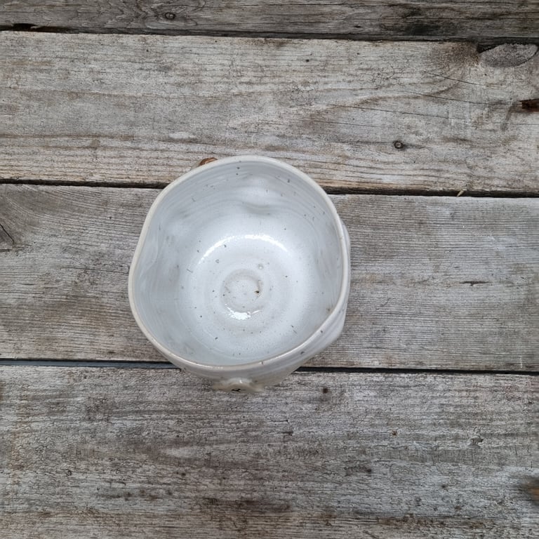 Får kop hvid glasur billede 3