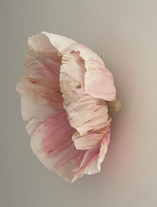 Vægblomst  (3)