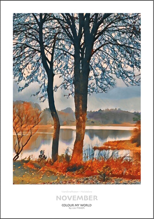 November - Vandkraftsøen billede 2