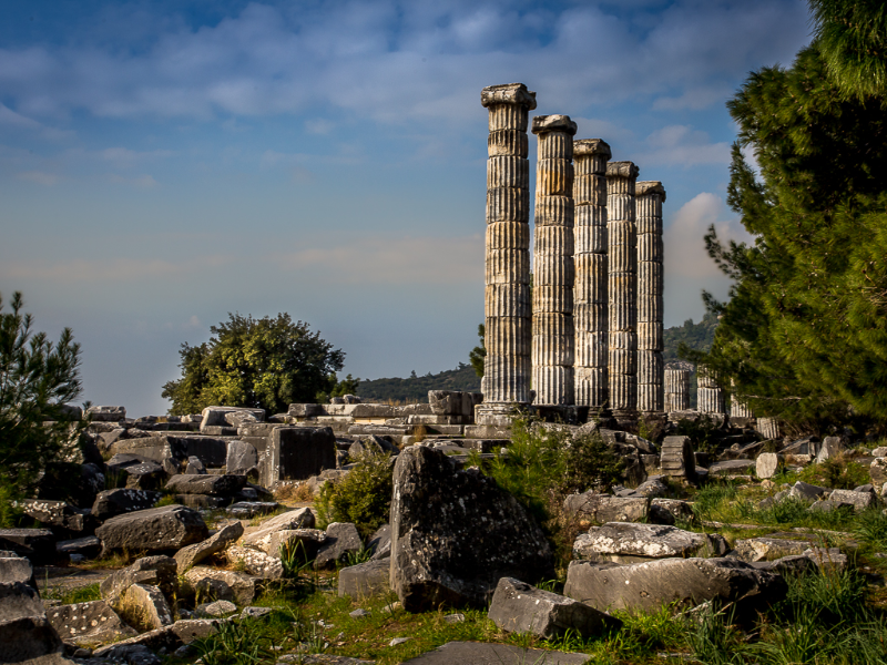 Priene Antik Akropolis Tyrkiet