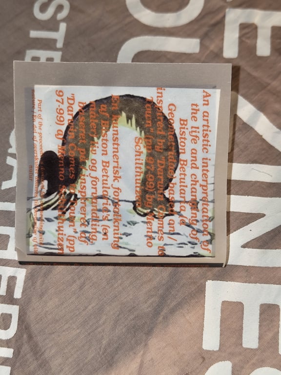 Inching Mutability (zine) billede 4