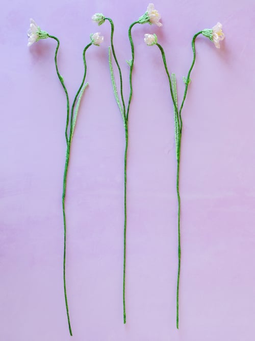 Sart lyserød perleblomst (5)