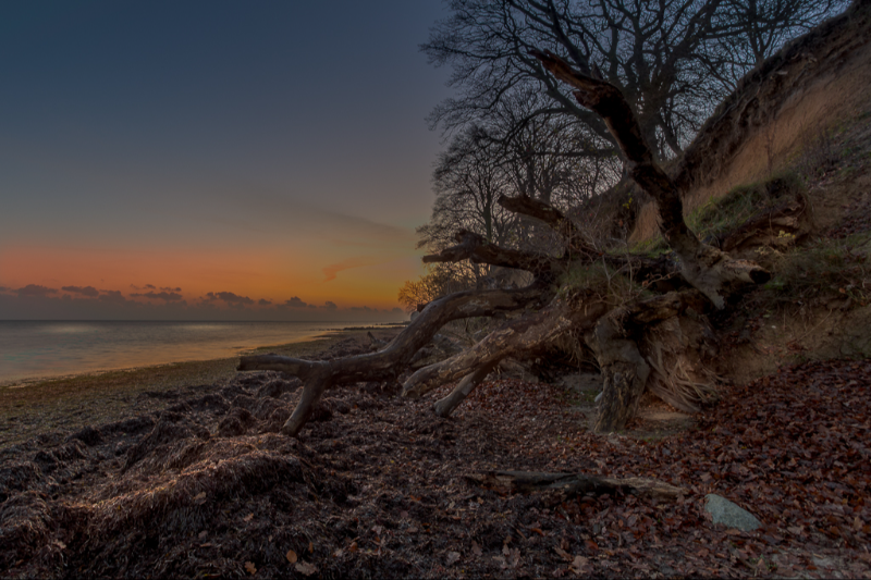 Roneklint i  Præstø ses her i morgenlys