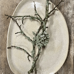 Tallerken-fad – produktbillede