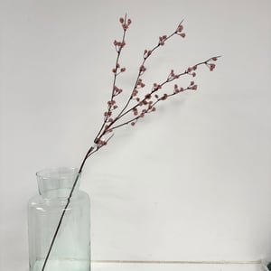 Rosa bær – produktbillede