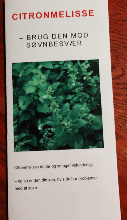 Folder om Citronmelisse