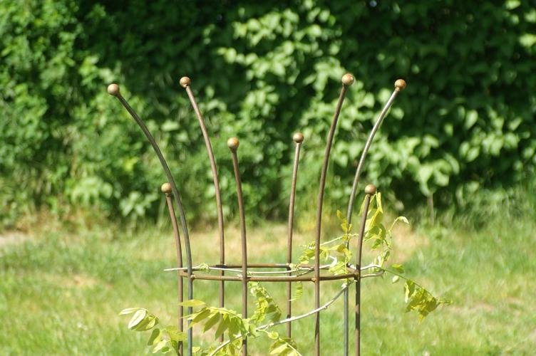 Espalier med kuglespids billede 3