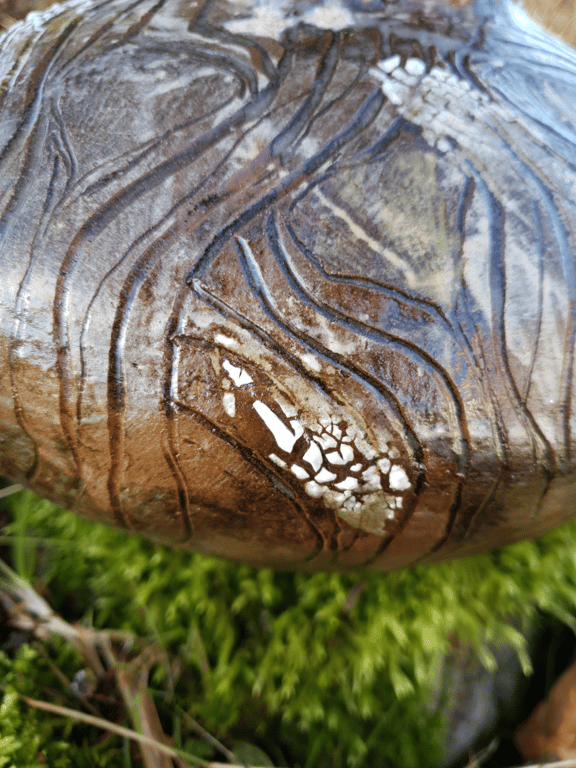 Dansende rødder - Stor krukke/vase  billede 3