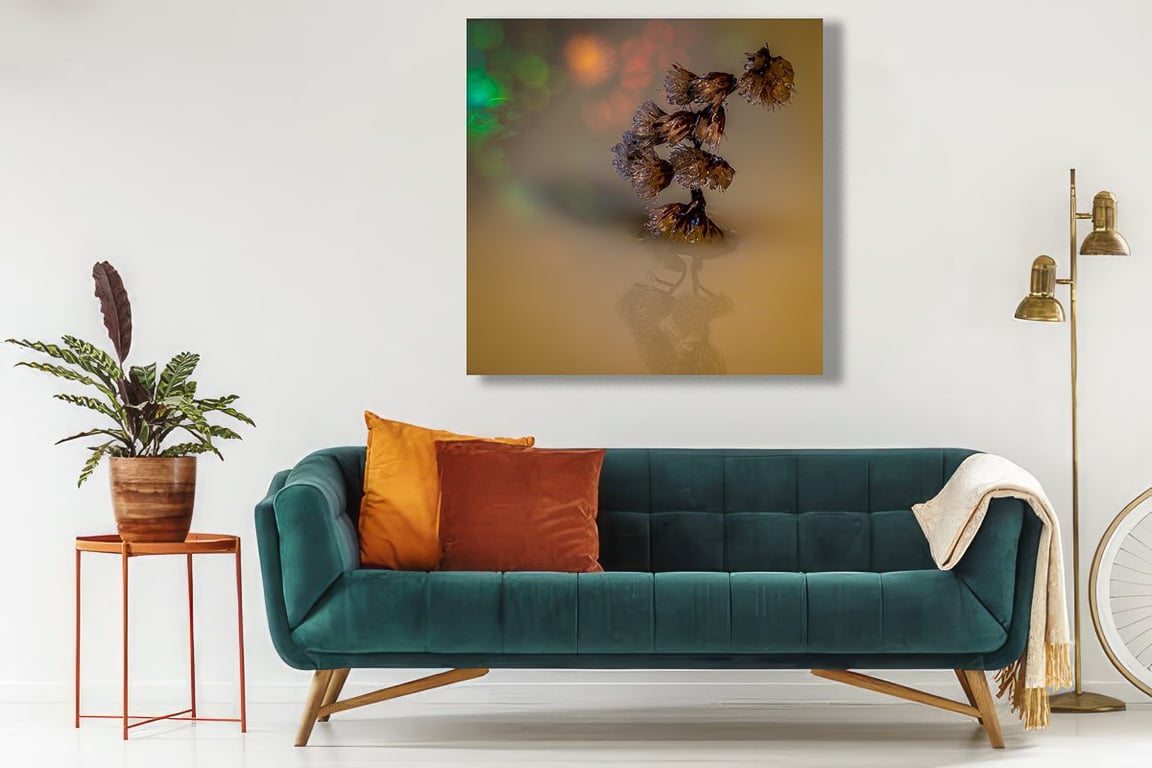 Et makro kunstfoto af en lille Stor Troldel gren i spændende farver billede 2