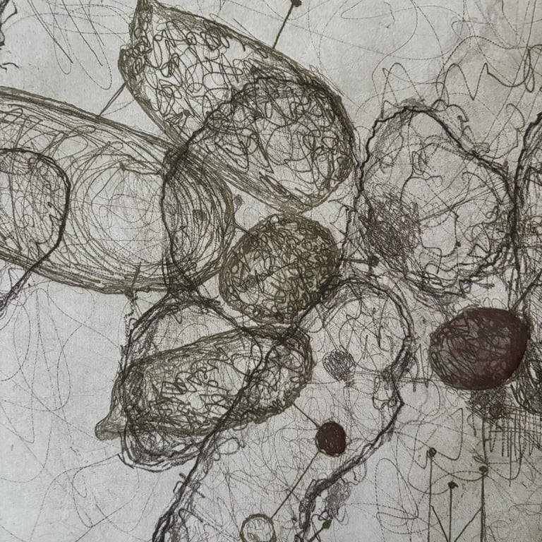 Et sted imellem 3 billede 5