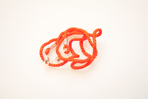 Rotes Brillenband (1)