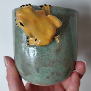 giftfrø kop – produktbillede