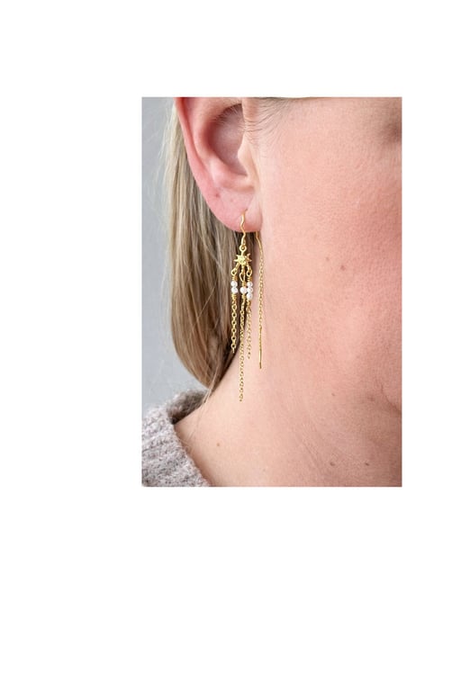 Stjernedrys billede 2