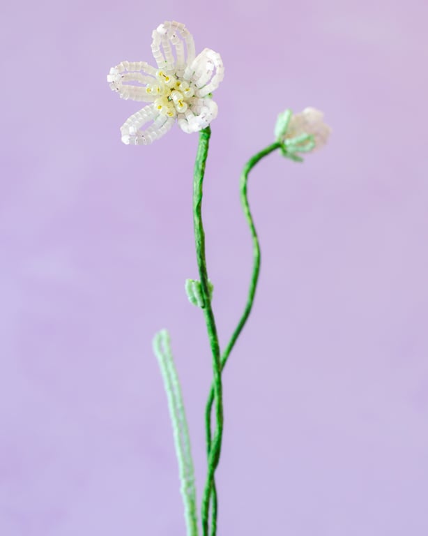 Sart lyserød perleblomst billede 2