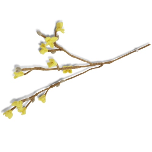 G&S Forsythia gren (2)