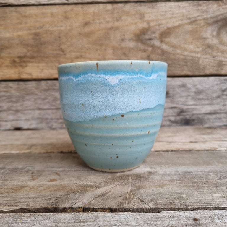 Konkylie kop billede 2