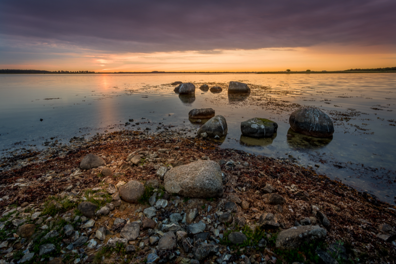 Lige efter solopgang i Skejten naturpark ved Fulgsang gods på Lolland
