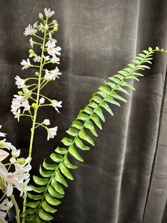 Cymbidium mix  billede 4