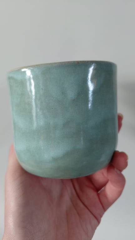 3D mantaray kop billede 6