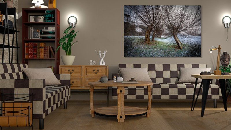 Stynede træer på Roneklint i Præstø en kold smuk vinterdag  billede 2