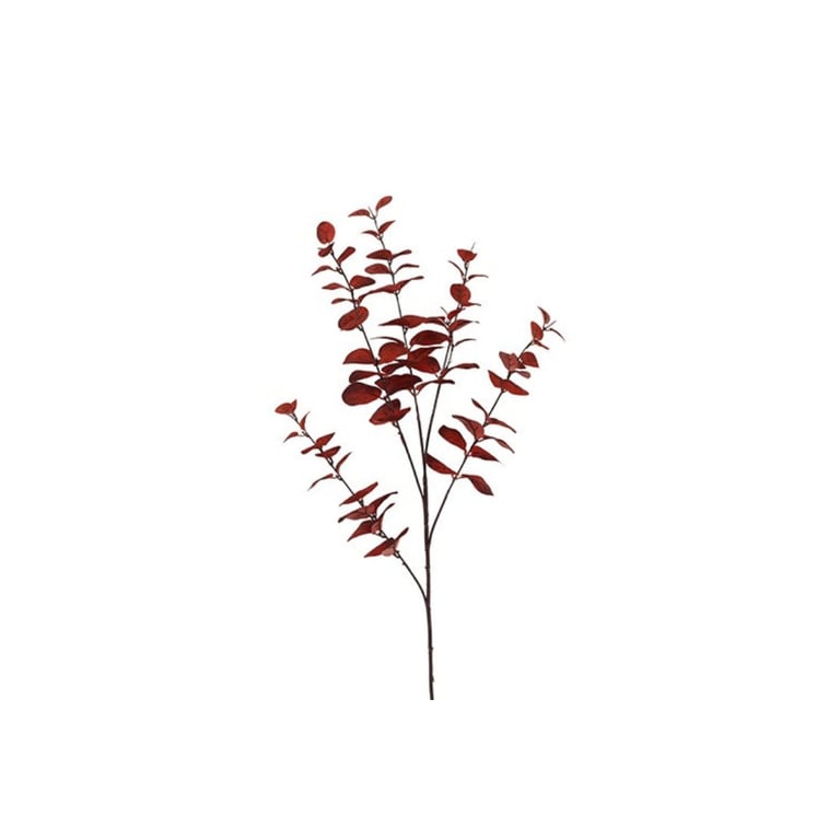 Rød gren med små ovale blade på hvid baggrund.