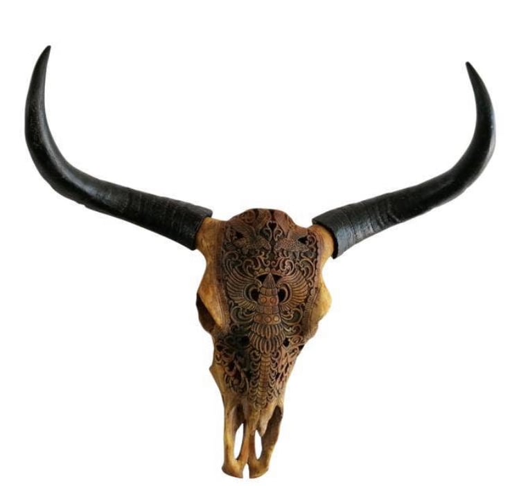 Dyrekranie - sorte horn (6)