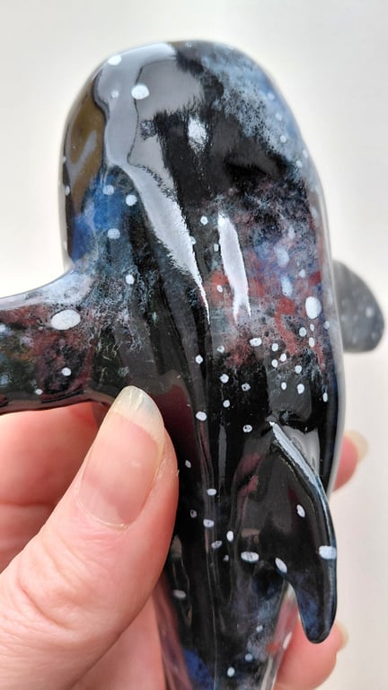 nebula hvalhaj billede 8