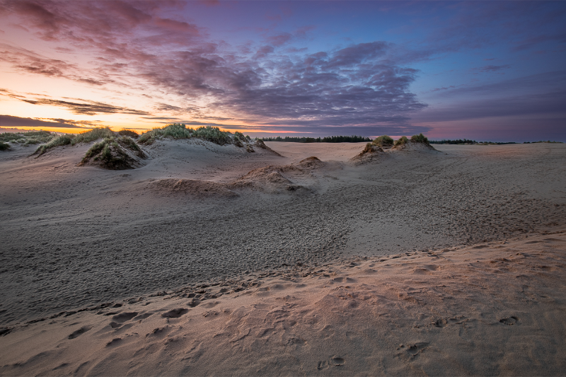 Solopgang over Råbjerg mile i Skagen en smuk sommermorgen_2