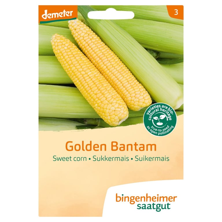 Frøpose til såning af Golden Bantam sødmajs med billede af gule majs og grønne kolber, mærket fra Bingenheimer Saatgut.