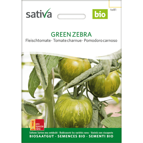 Frøpakke til økologiske Green Zebra tomater med billede af grønne, stribede tomater på plante. (1)