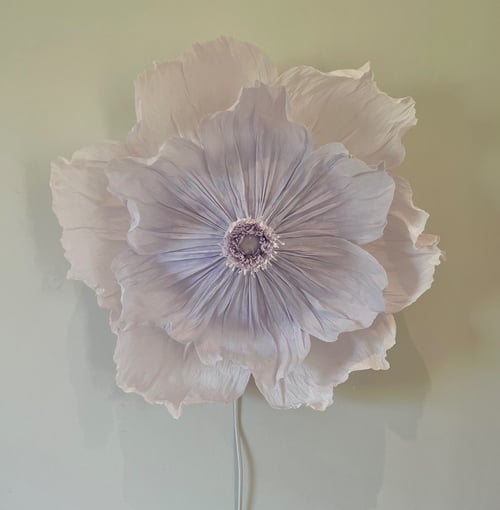 Viola  (2)